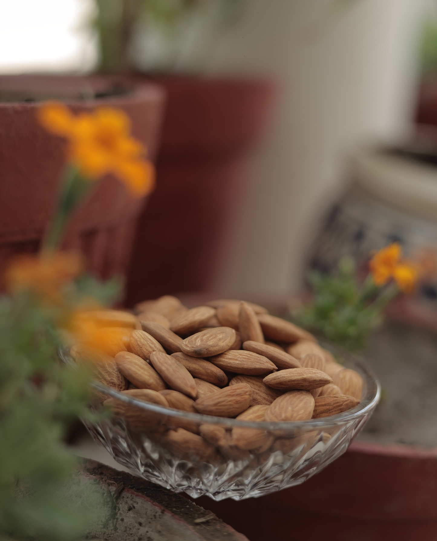 Dry Fruits