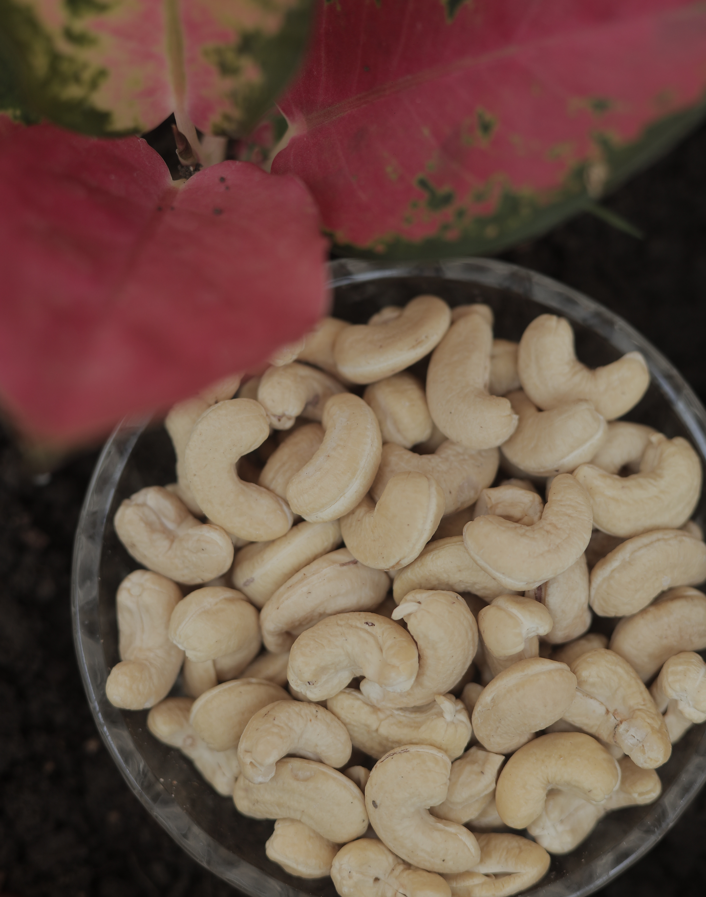 Dry Fruits